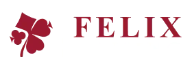Felixgaming — Vibebet Casino